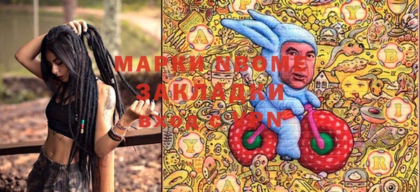 индика Балахна